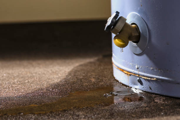 Best 24-hour water damage restoration  in Anamosa, IA