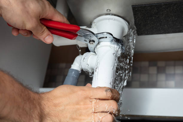 Best Mold removal after water damage  in Anamosa, IA