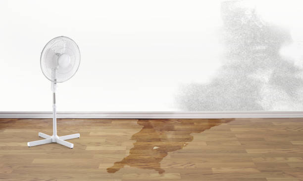Reliable IA Water damage restoration Solutions