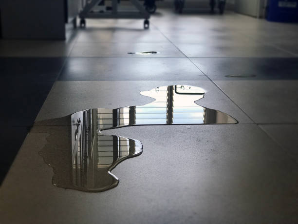 Best 24/7 water damage repair  in Anamosa, IA