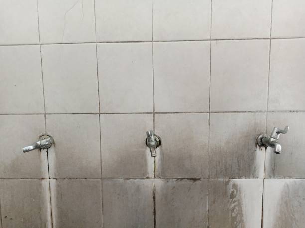 Best 24-hour water damage restoration  in Anamosa, IA