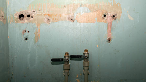 Best Water damage restoration mold remediation  in Anamosa, IA