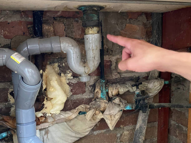 Best Sewage cleanup and water damage restoration  in Anamosa, IA
