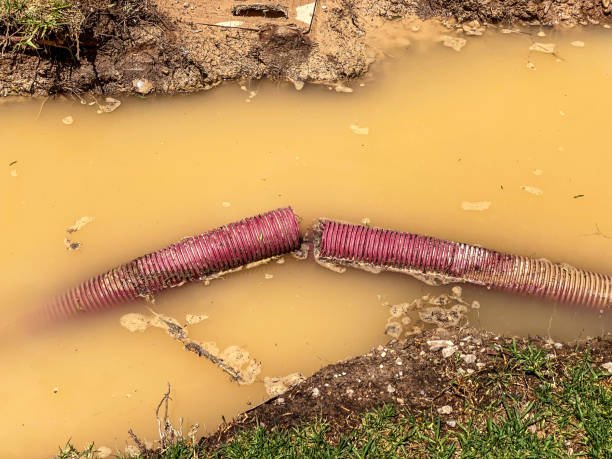 Best Professional water damage repair  in Anamosa, IA