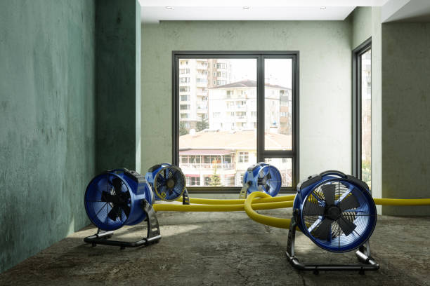 Best Professional water damage repair  in Anamosa, IA